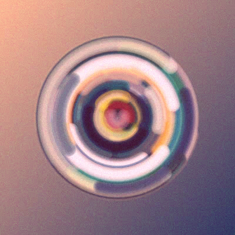 Wisp #696