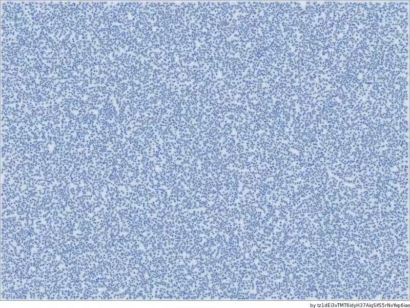 What is Love ♥ - La foule (71030)