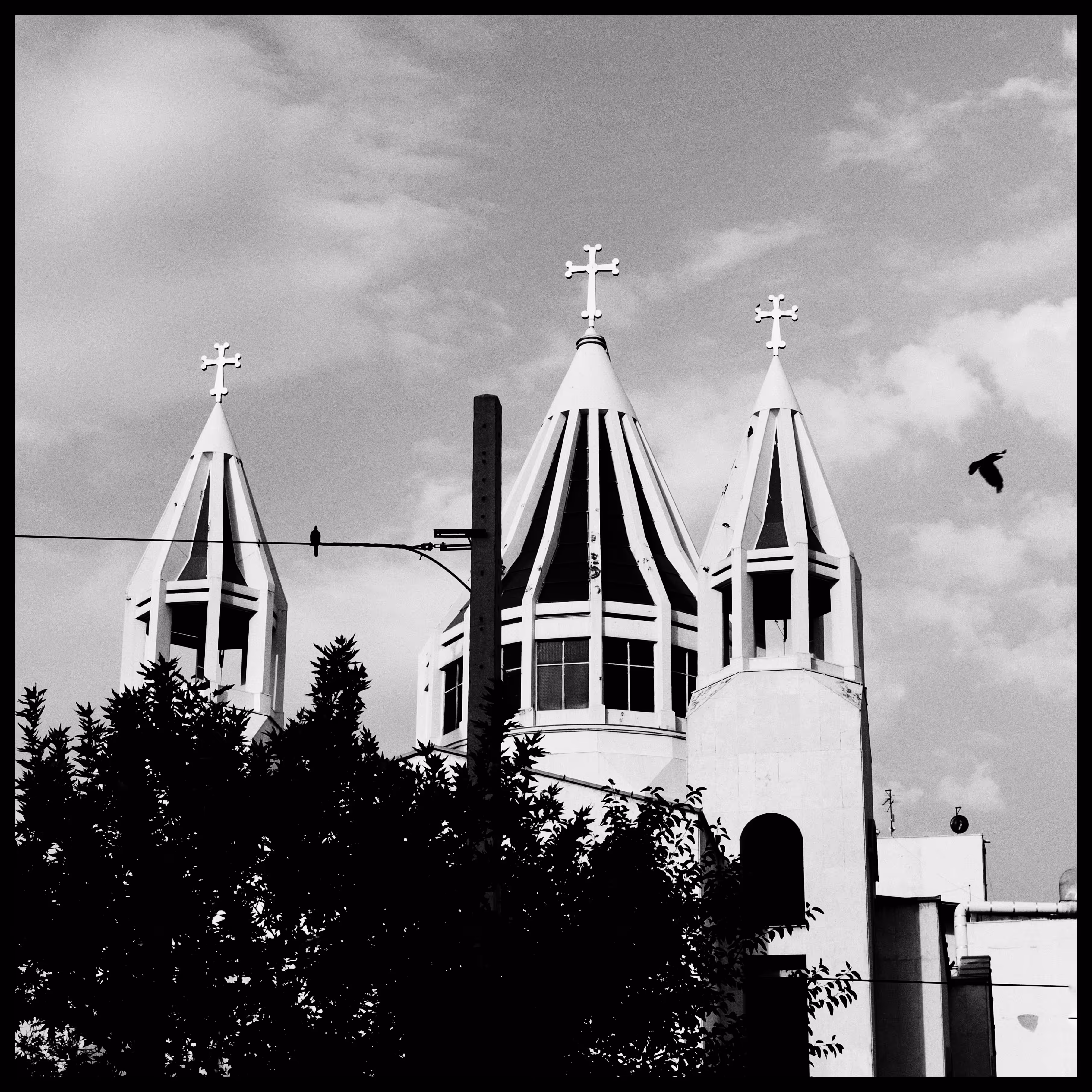 FLY: Im the rebel crow, not the vigilant dove