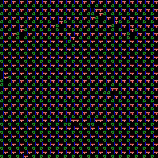 CGA Safari #31