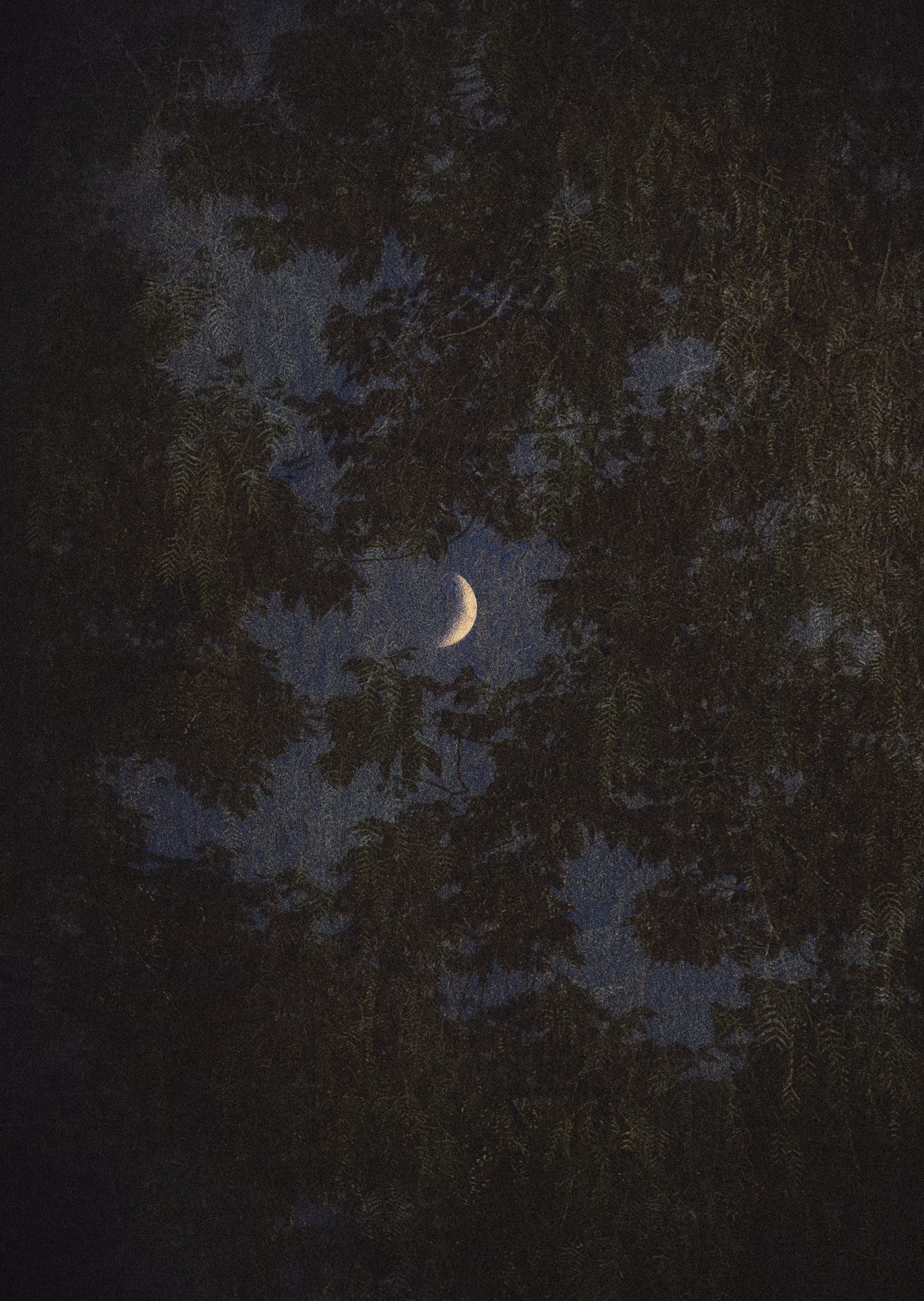 Day into Night