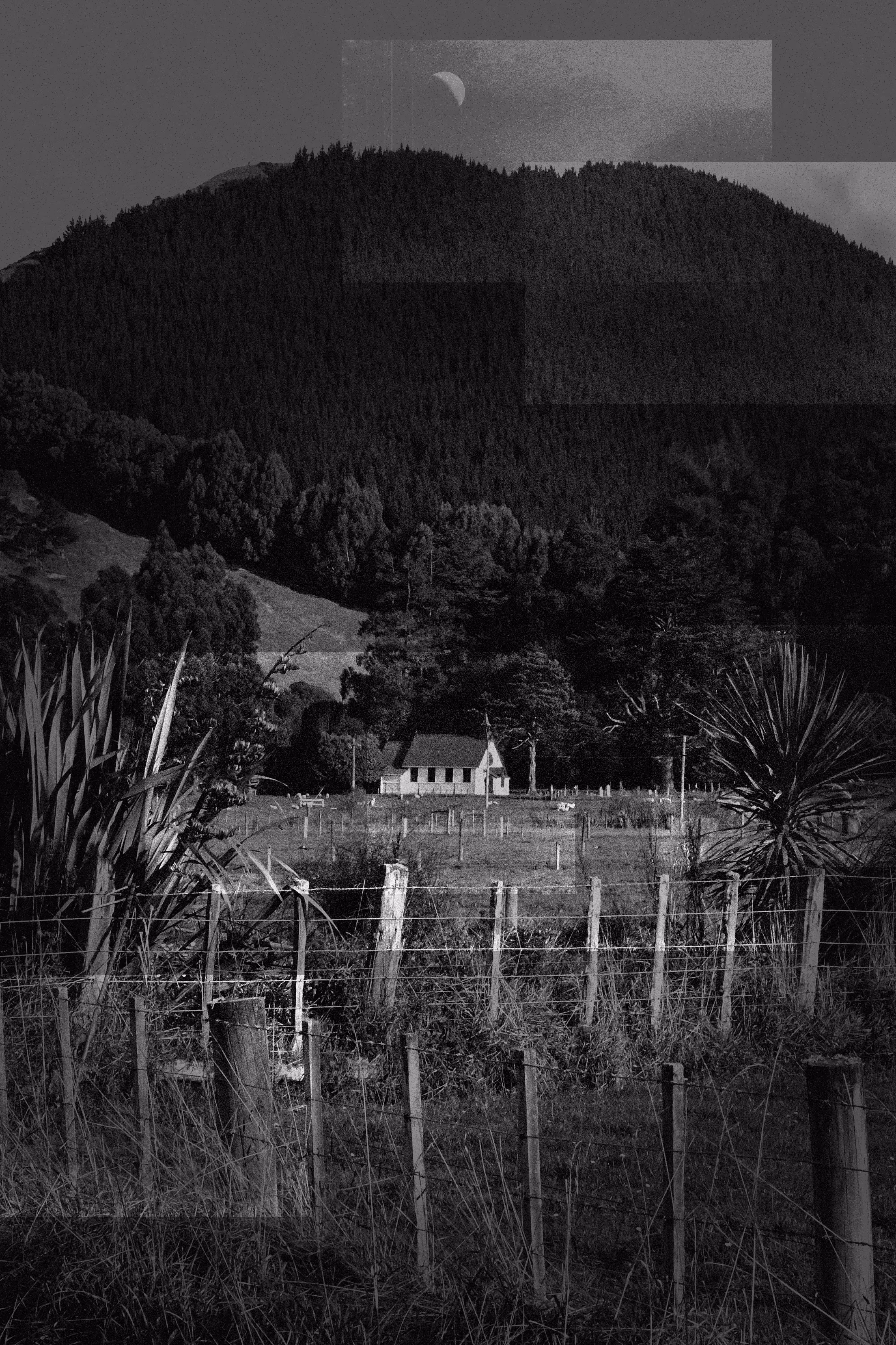 The House