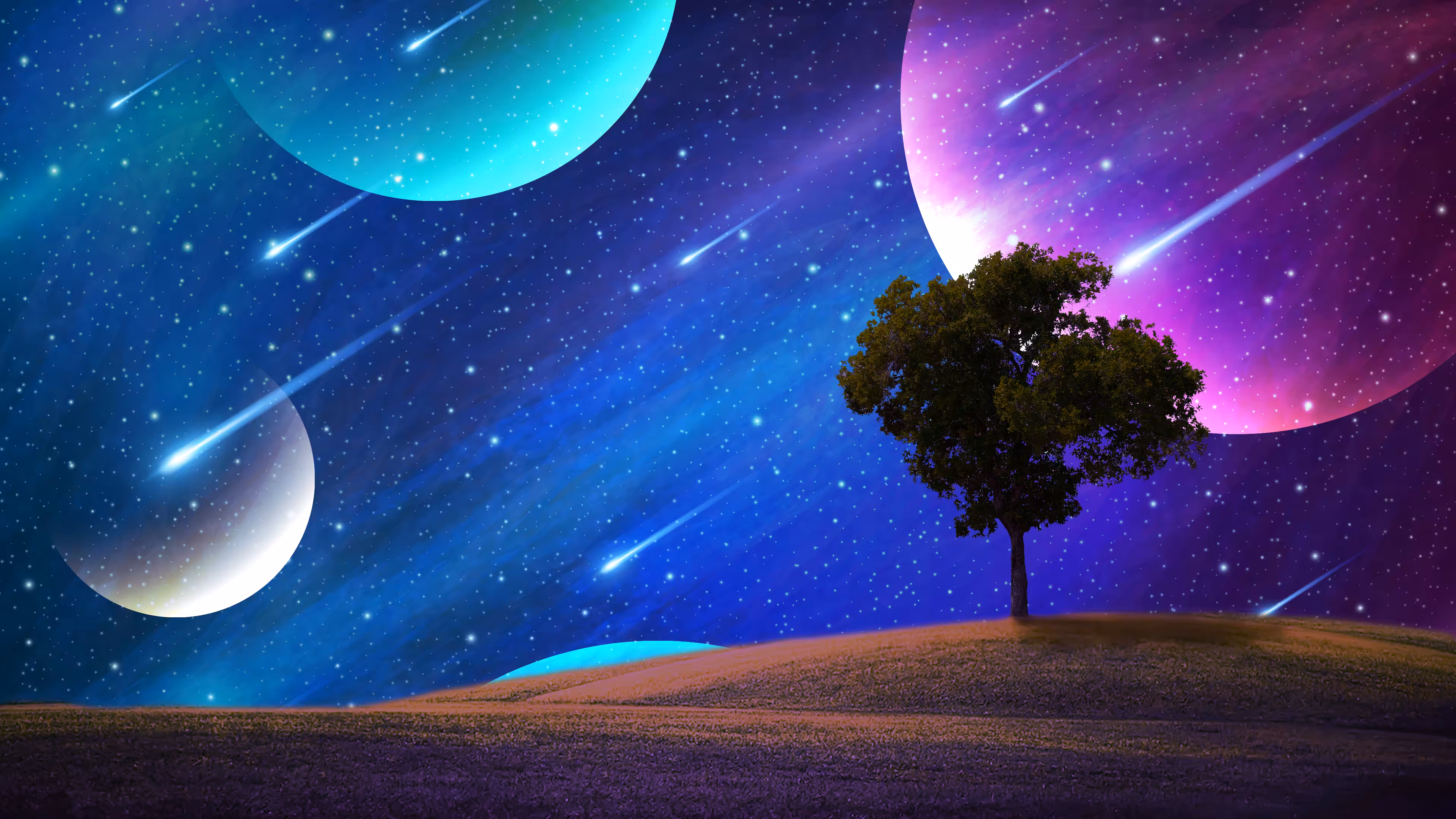 The Lonely Tree
