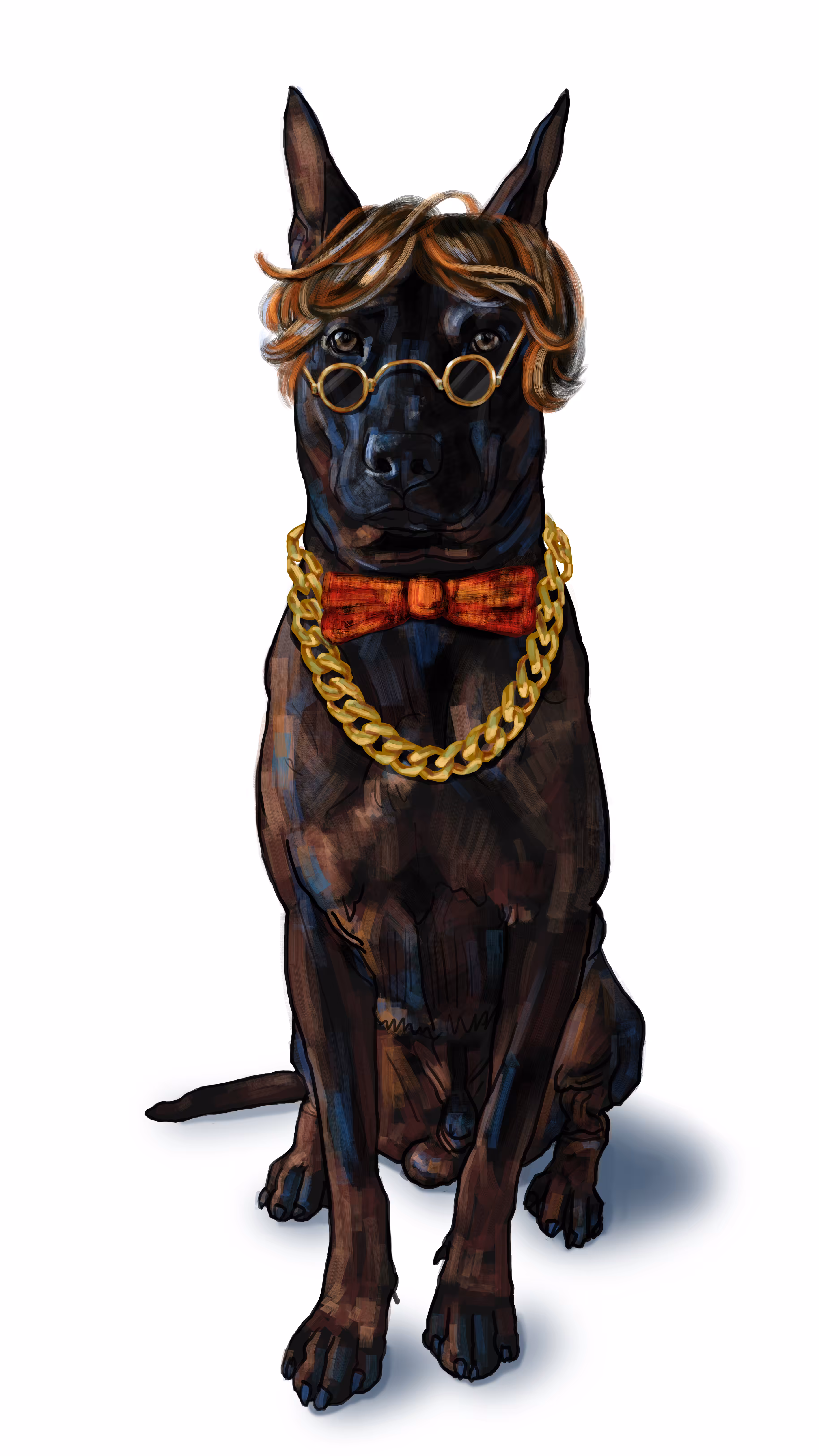 Black dog