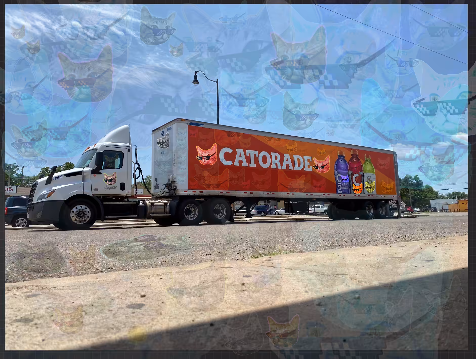 CATOSHI SYNDICAT . CATORADE BIG-RIG 