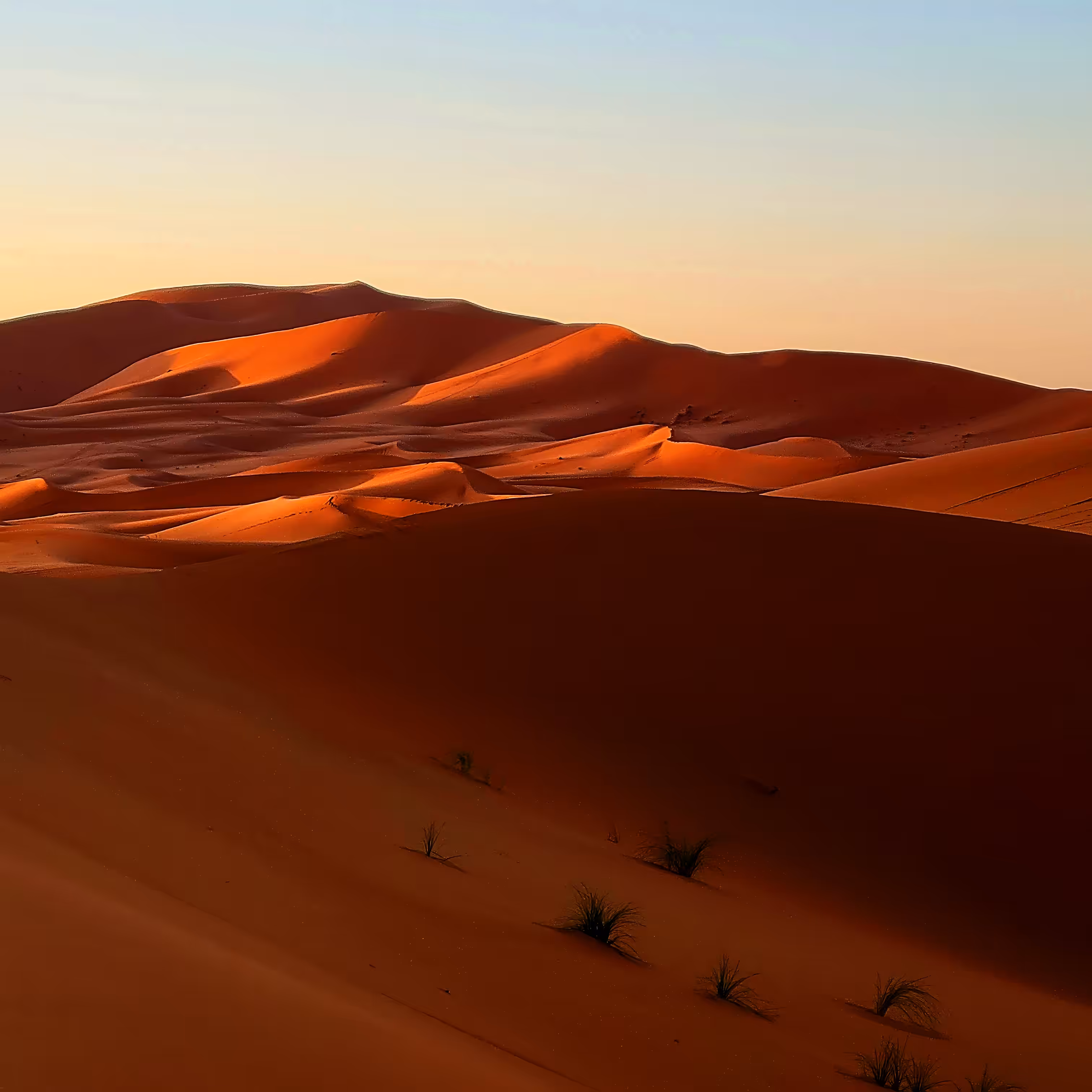 Open Editions: Saharan Dunes by Phone