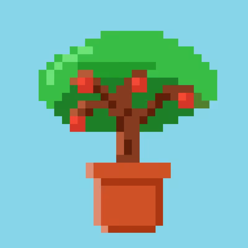 Tez Plants #7