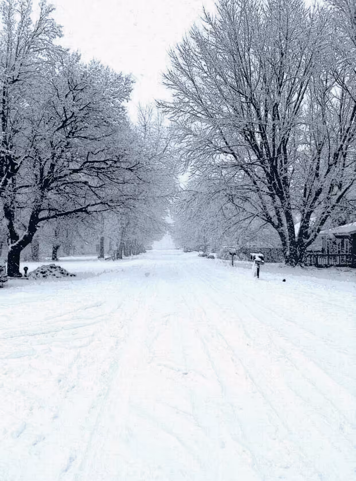 The North