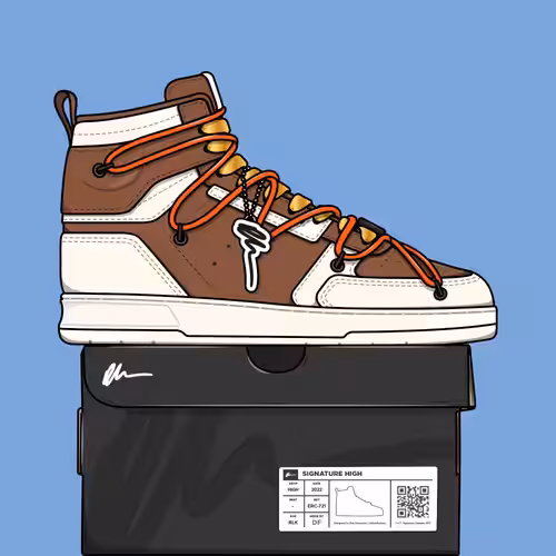 Signature Sneakers Highs #102