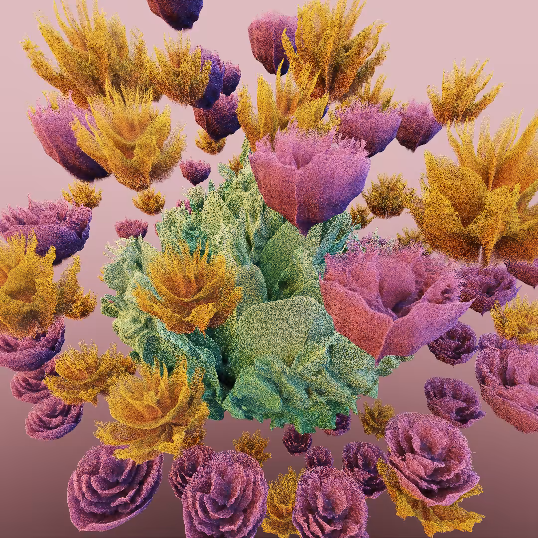 rosarium #77