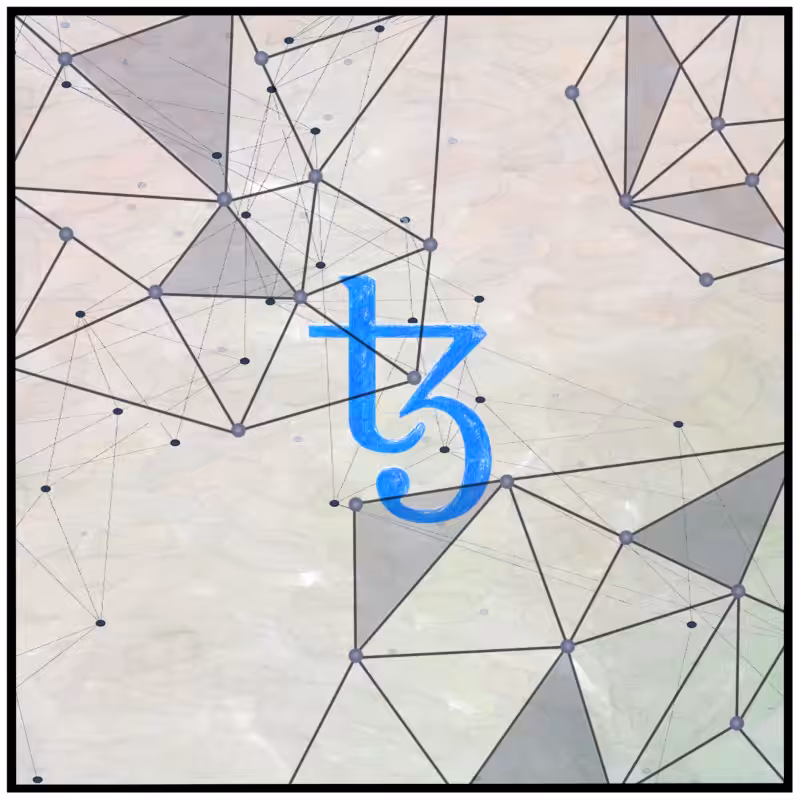 The celebration of blockchains #12