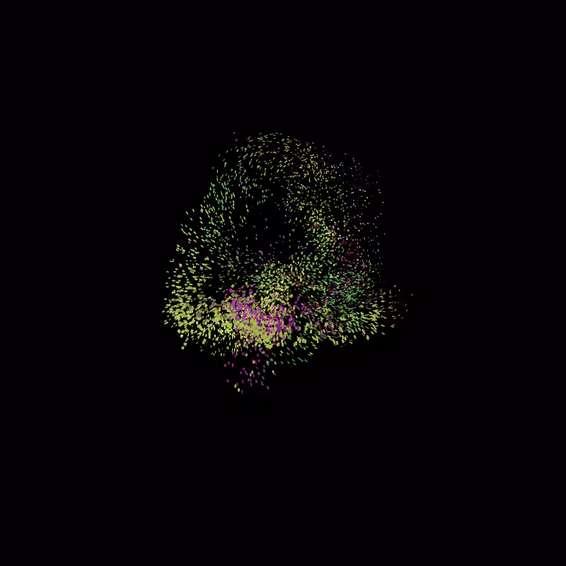 Murmuration #14