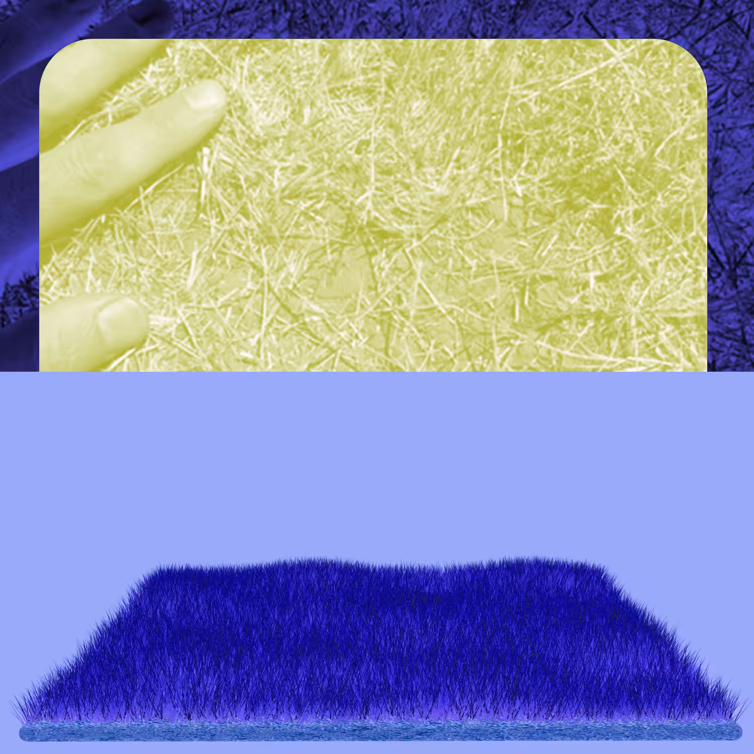 touch grass