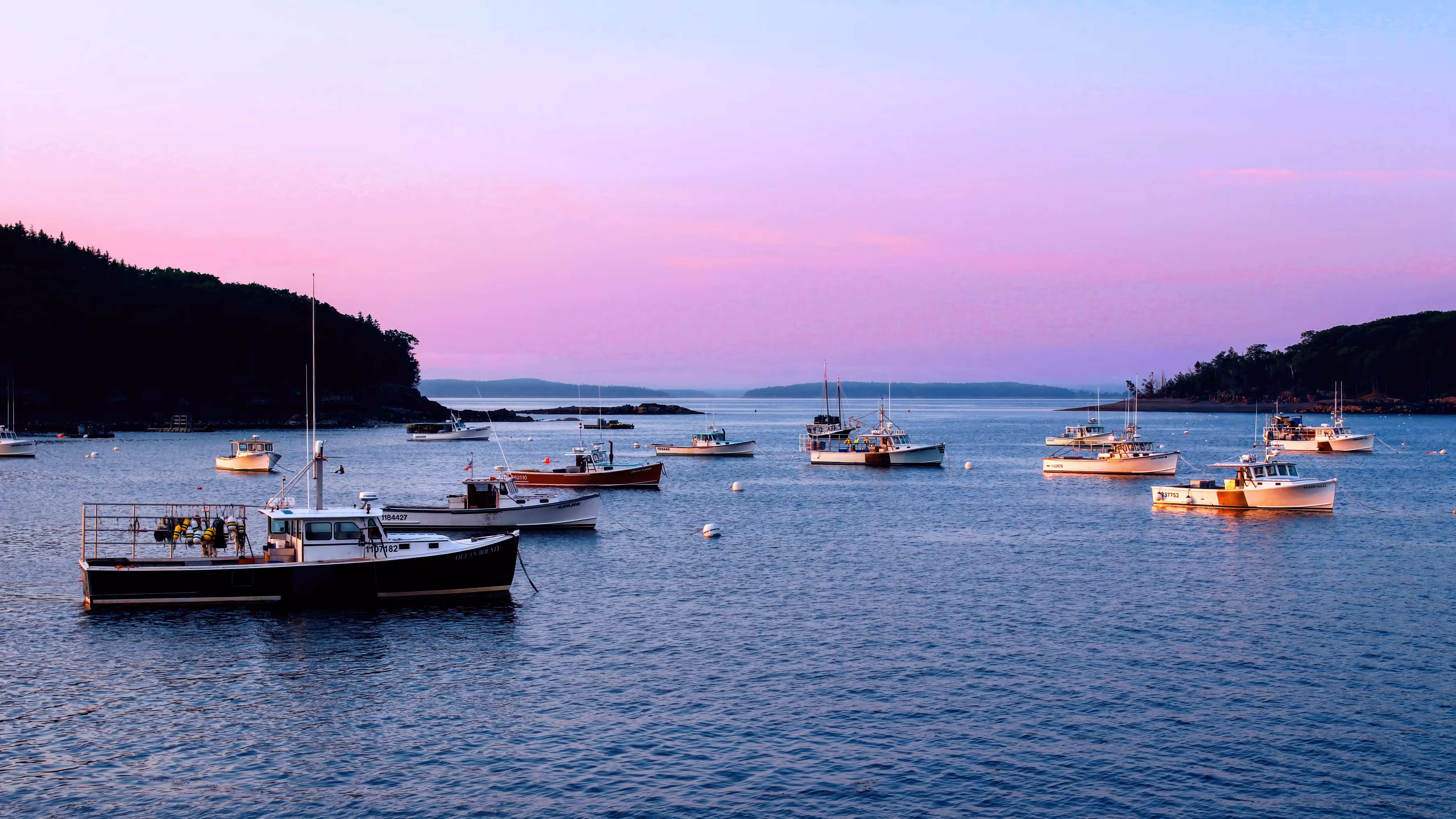 Calm Harbor