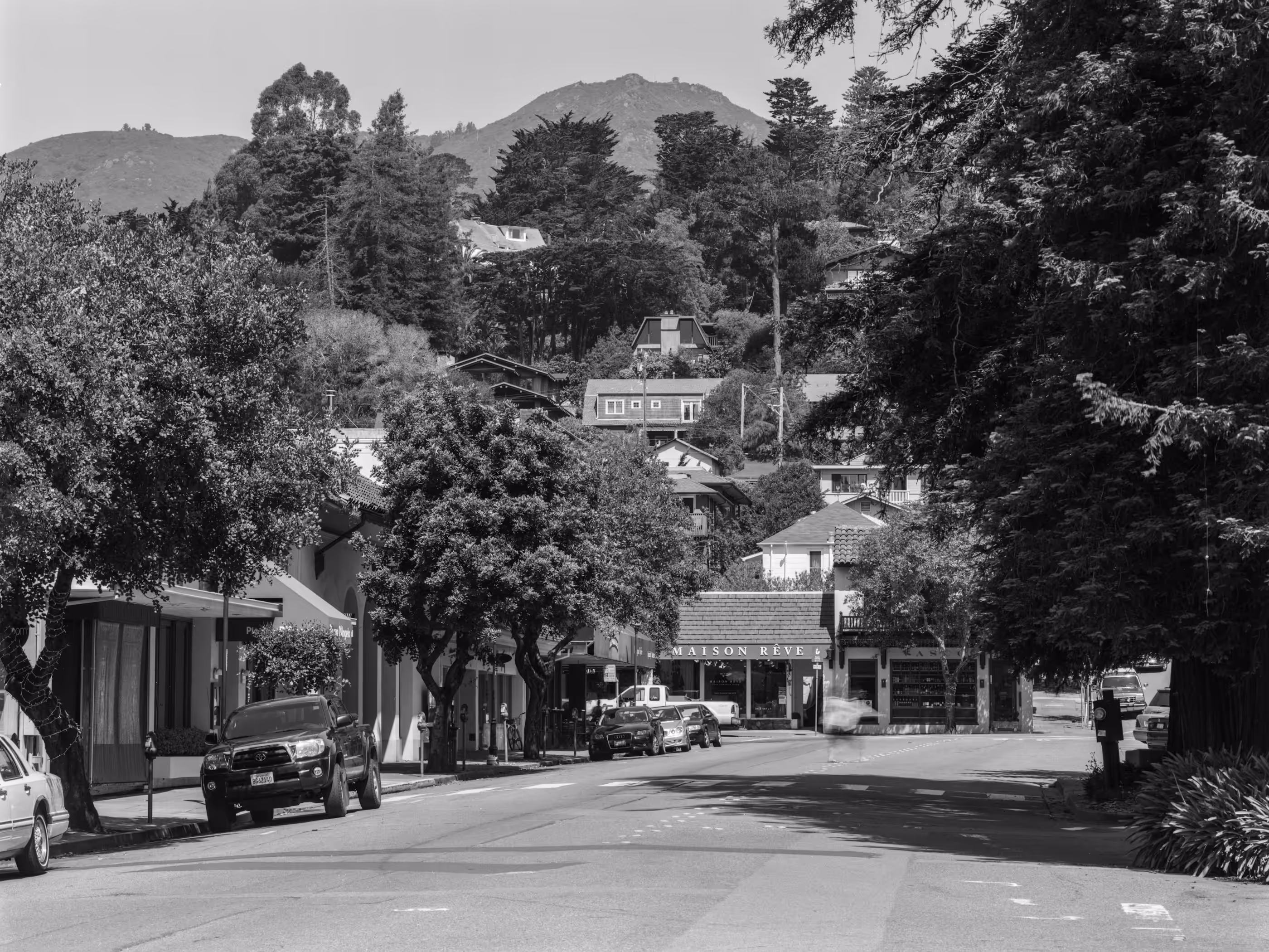 Mt. Tamalpais from Mill Valley