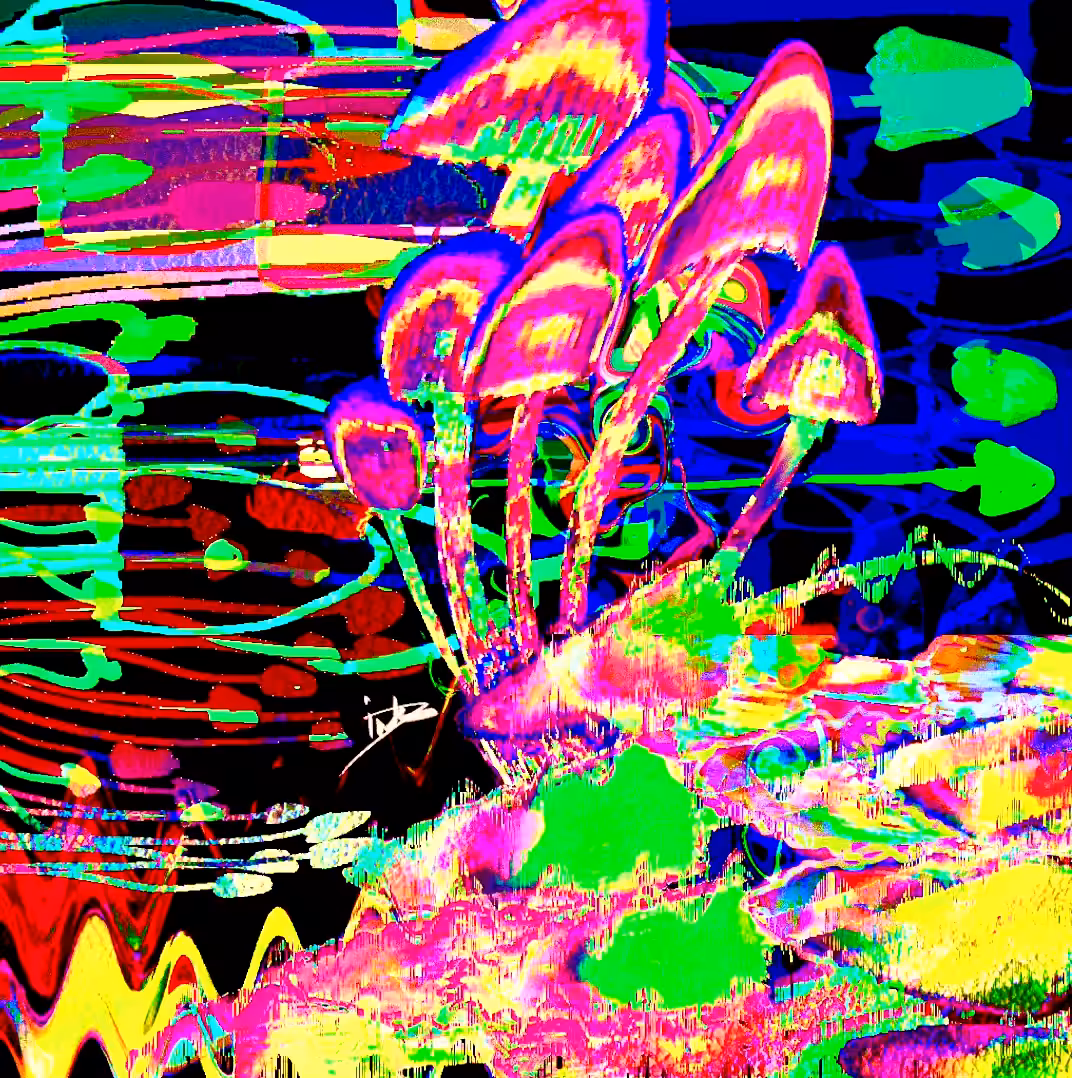 Magic Shrooms Party