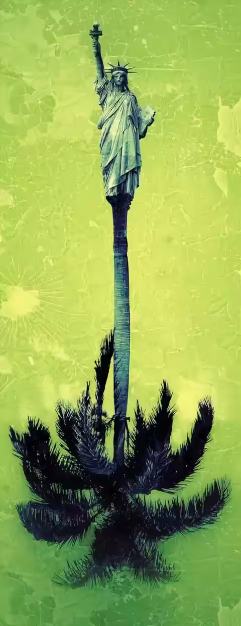 ENFOQUE VERTICAL 2