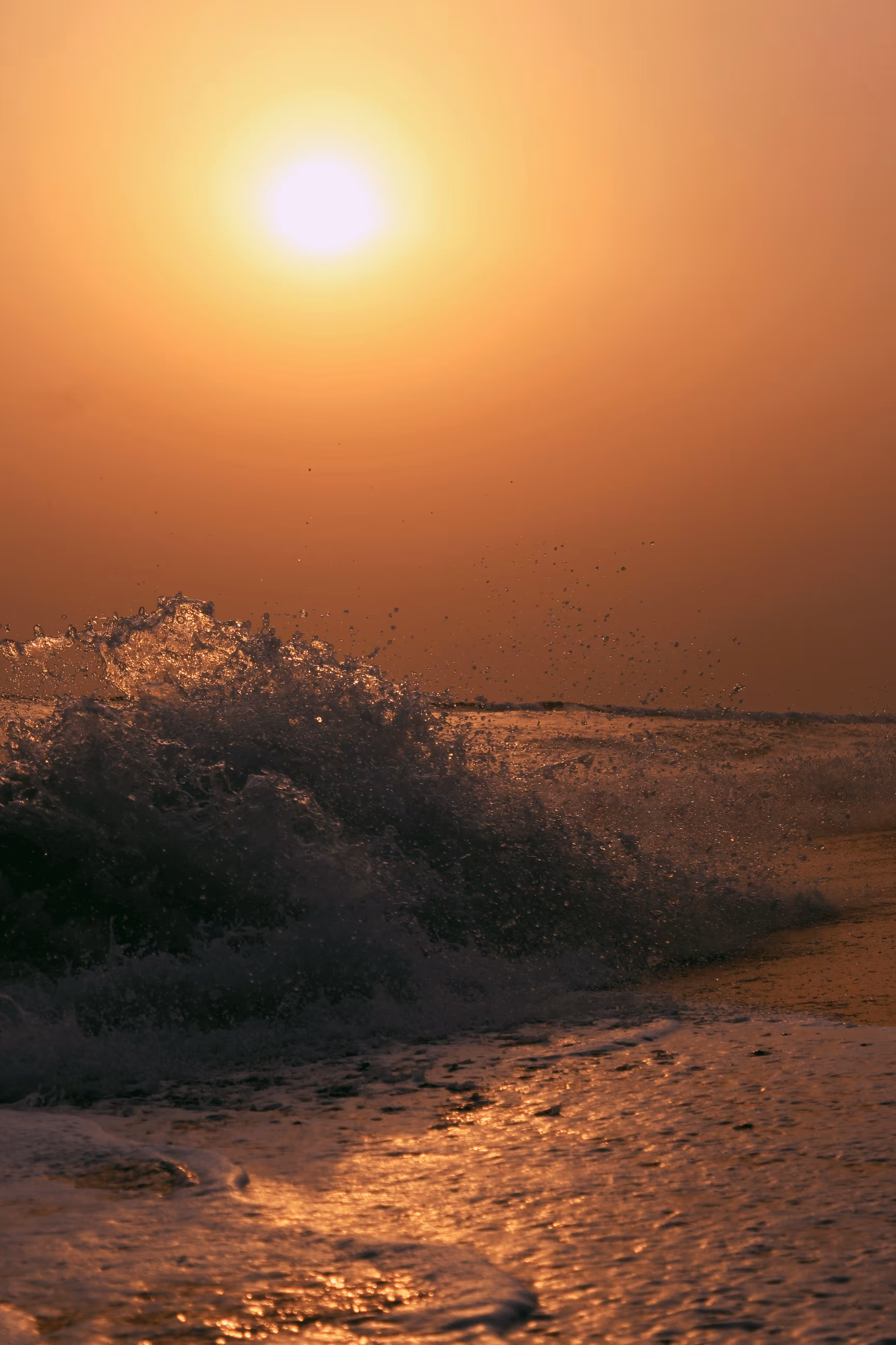 Sea the Sun Set - #014