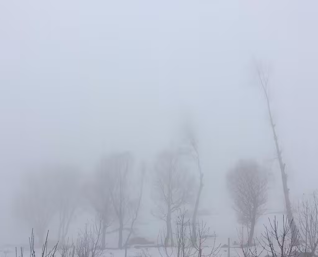 fog