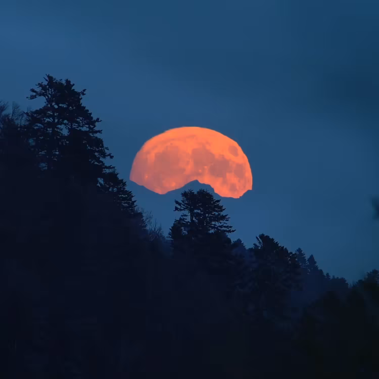 #4 - JARDINS DE LUNE