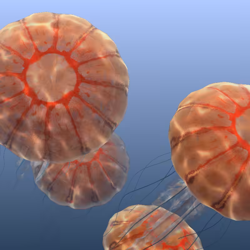 Jellyfish #61