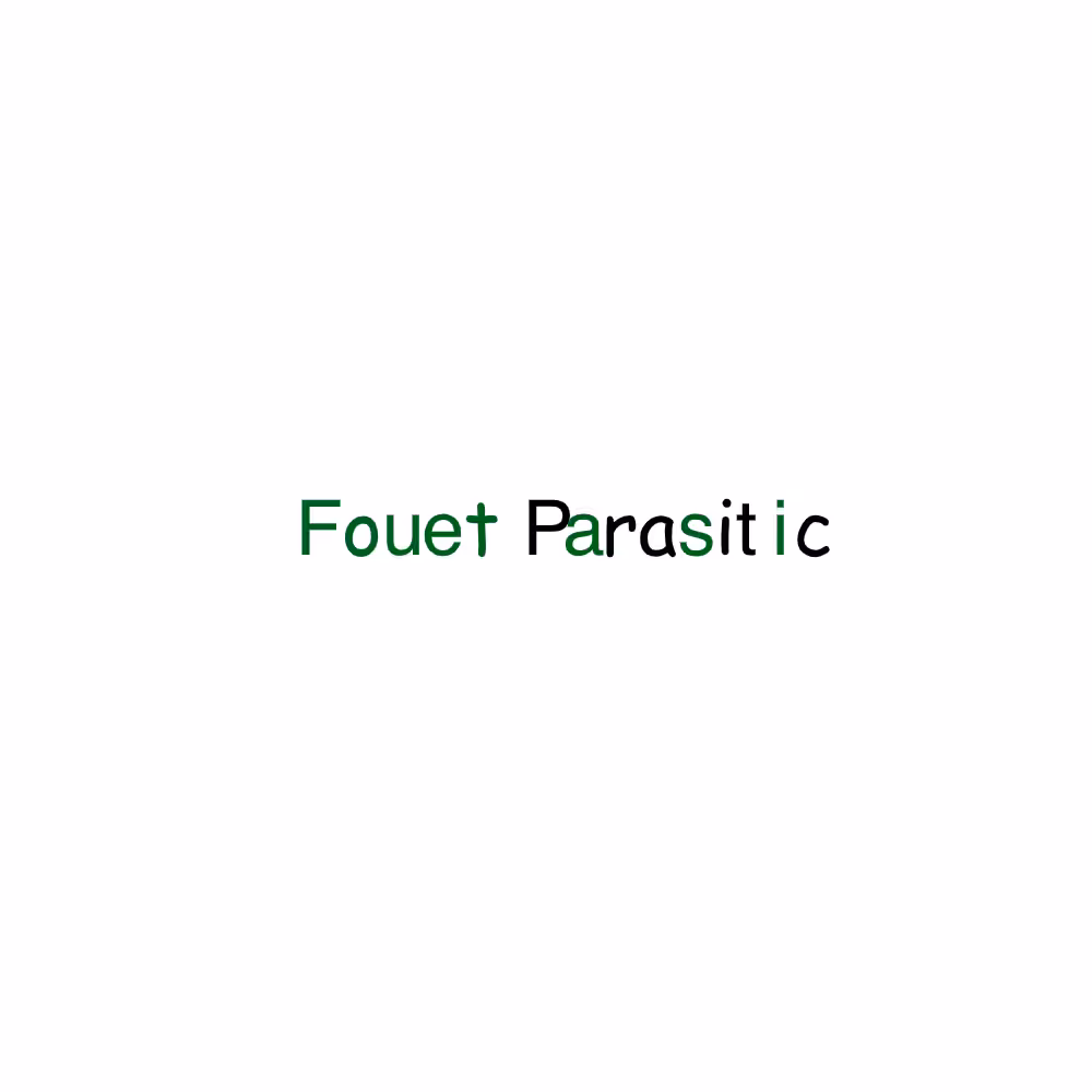 FP x FP #29