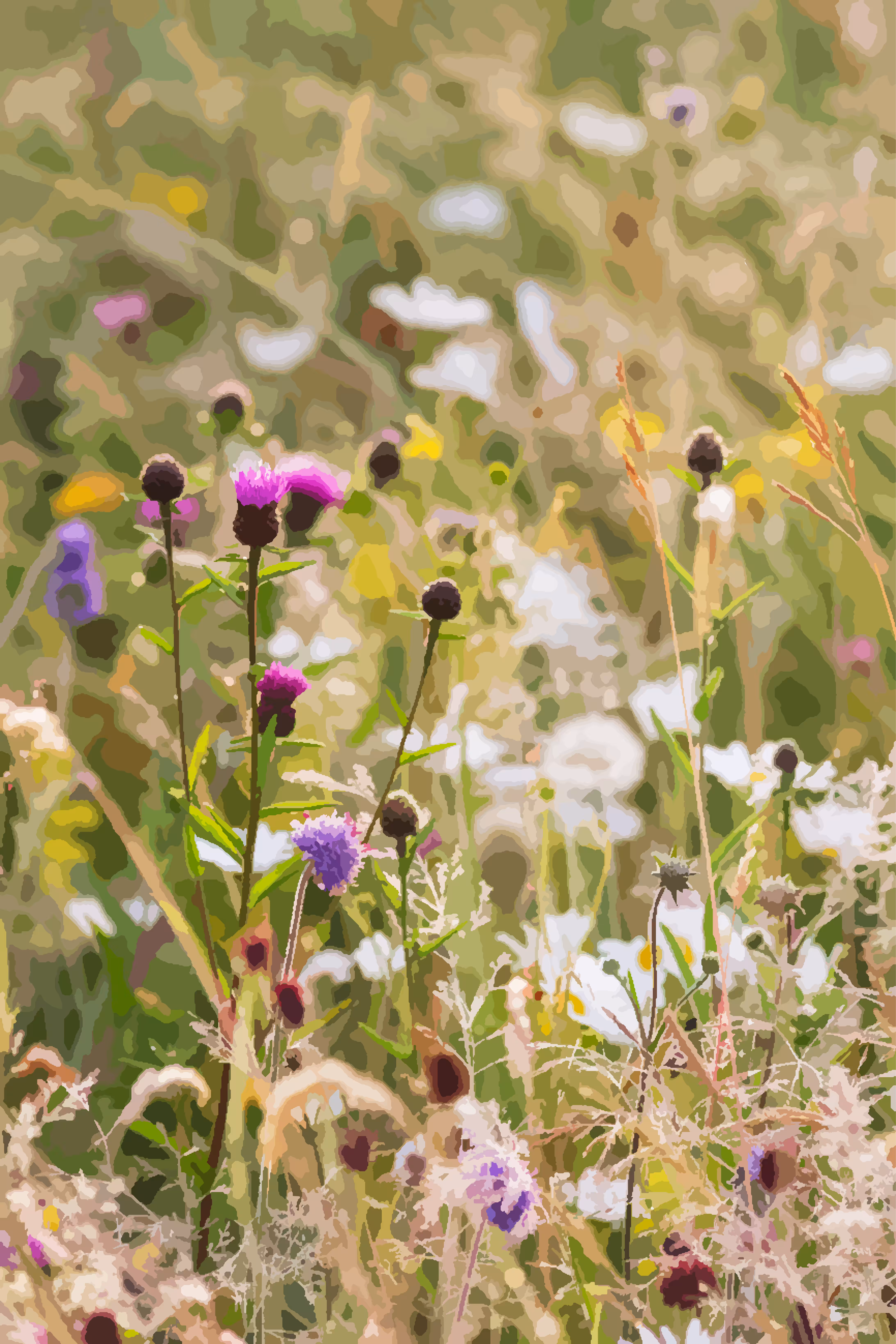 Evening Glow