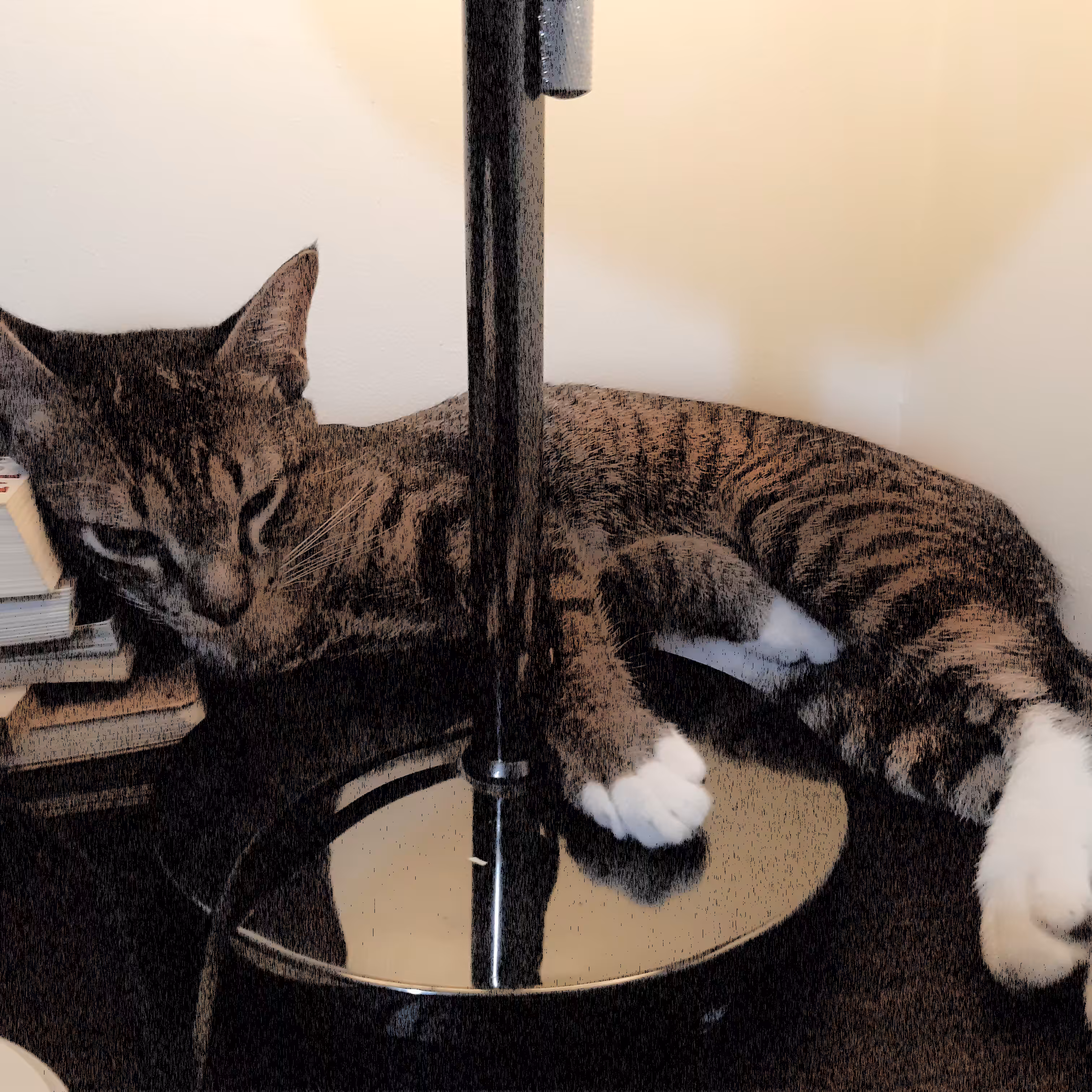 Pusskin #26 - Cat Lamp