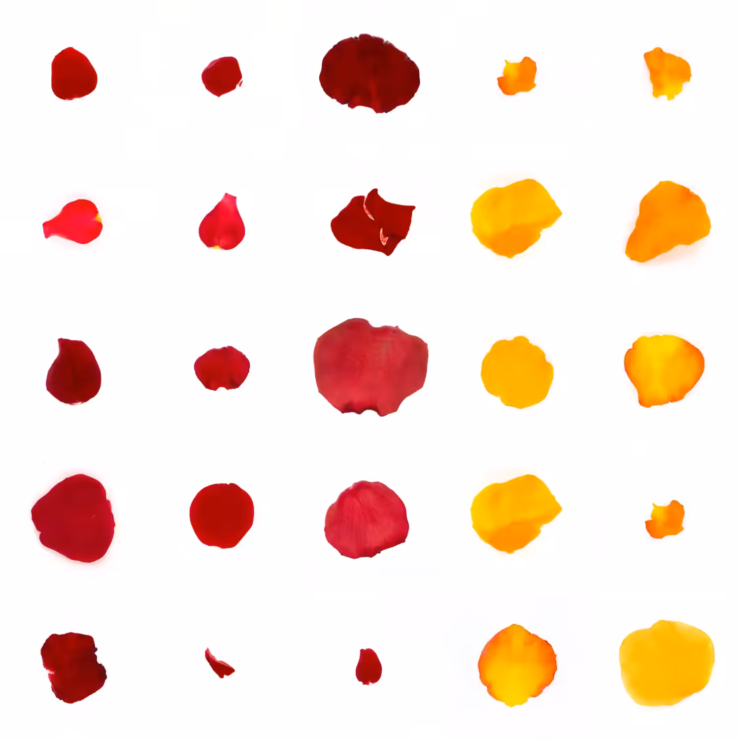 Infinite Petals 5x5#20234