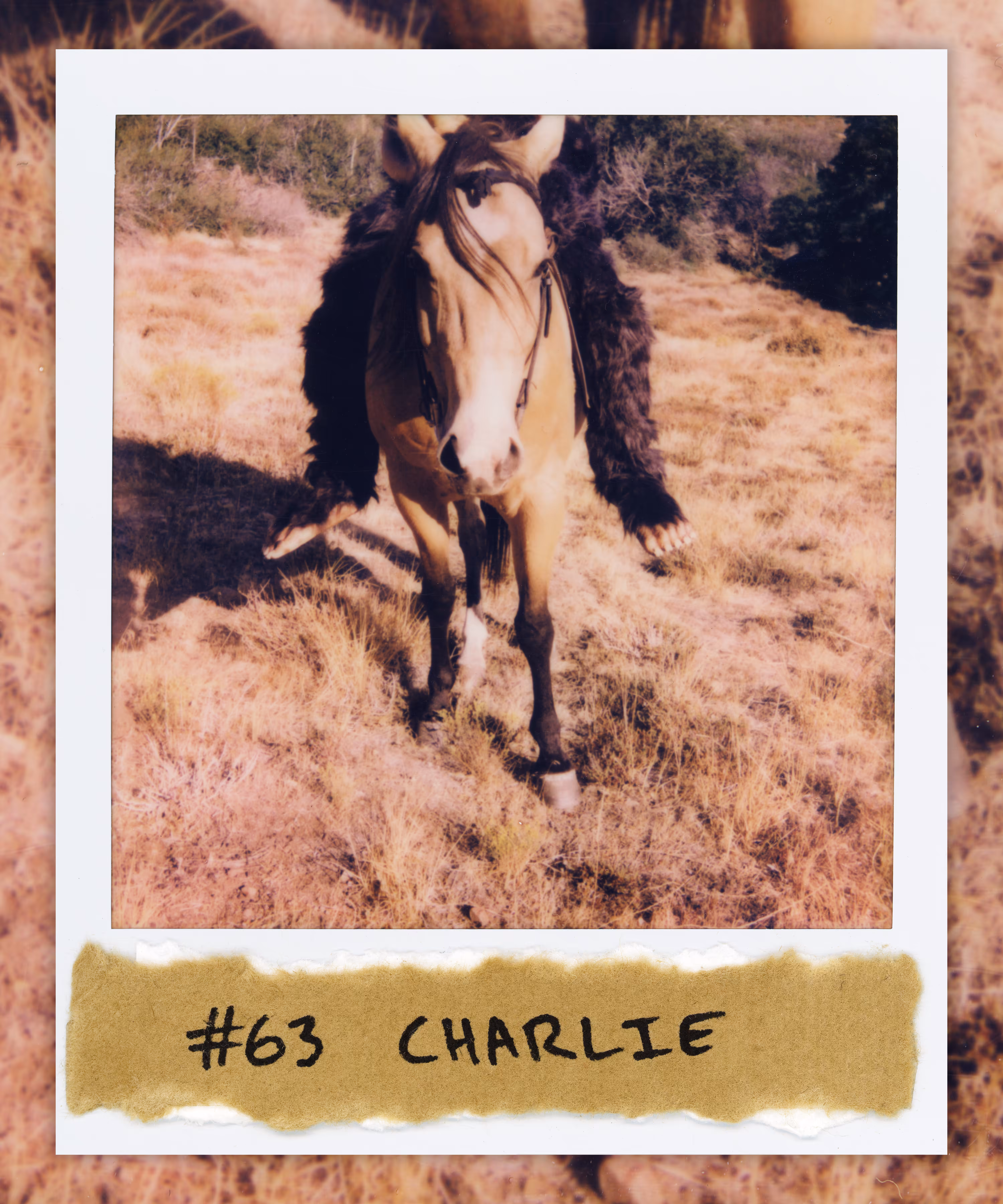 #63 CHARLIE