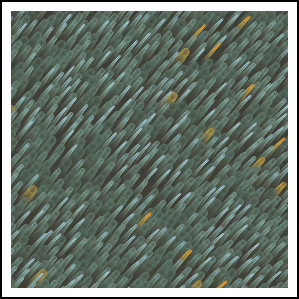Studies of Motion  #14