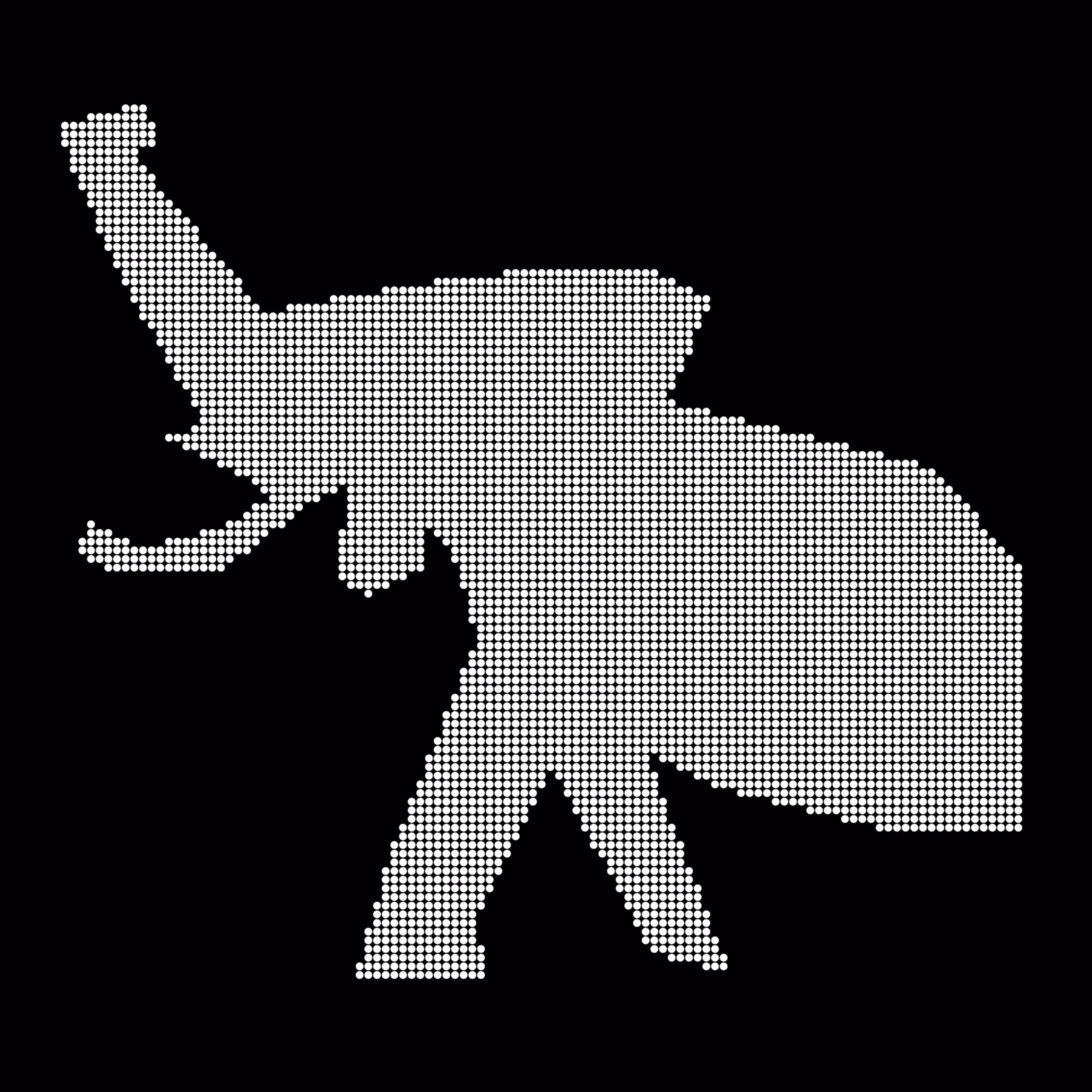 Caltech Studies (Braille): Elephant 19