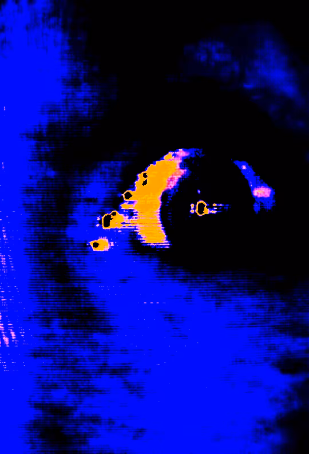 CAPTURED 002