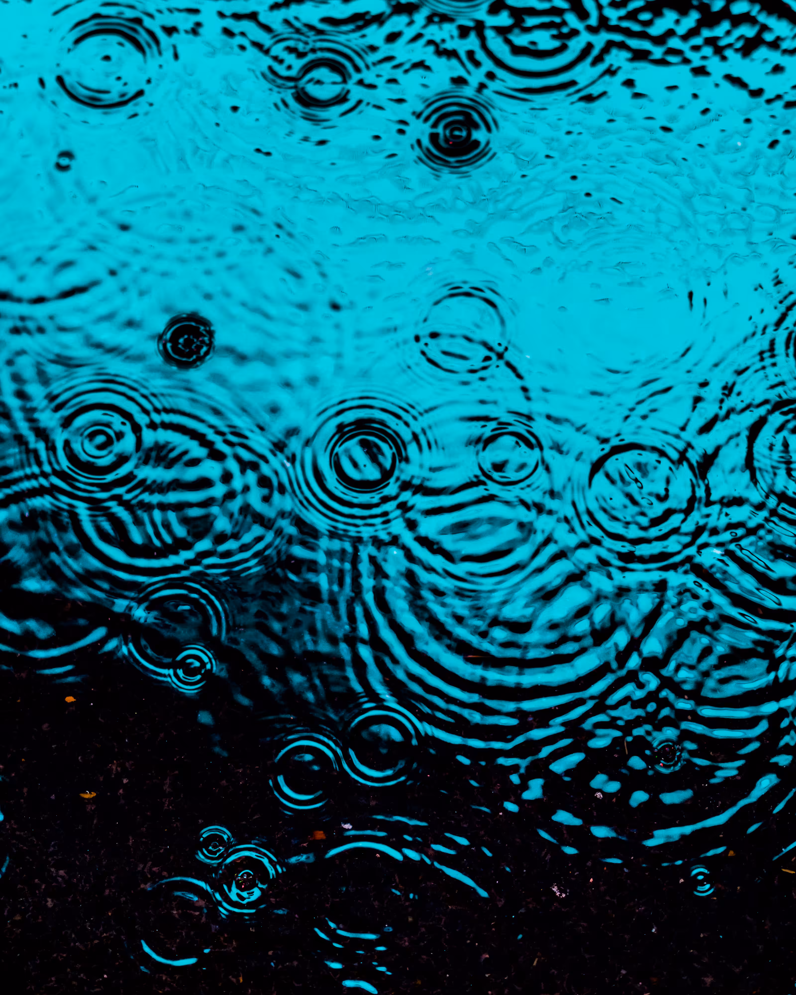 DRIP DROP: DRIP #973