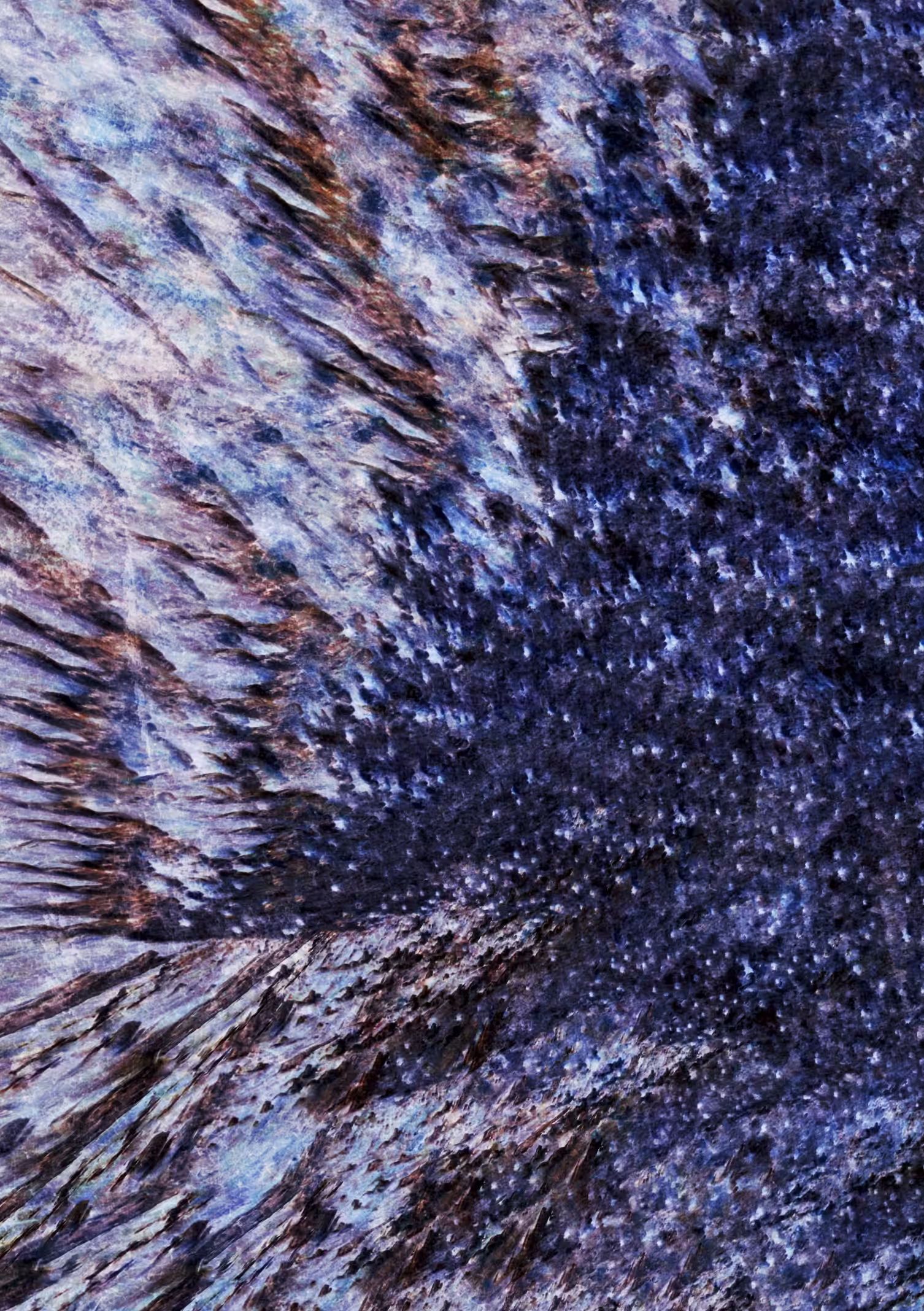 Catching Up In A Nightspan [VIII] [variant]