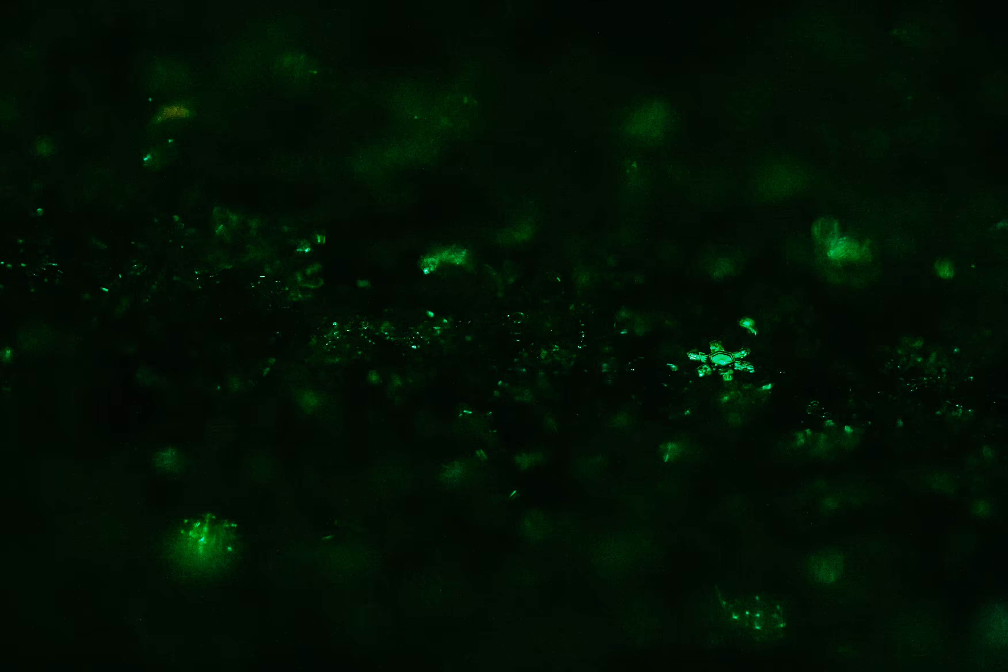 Tiny Landscapes 18