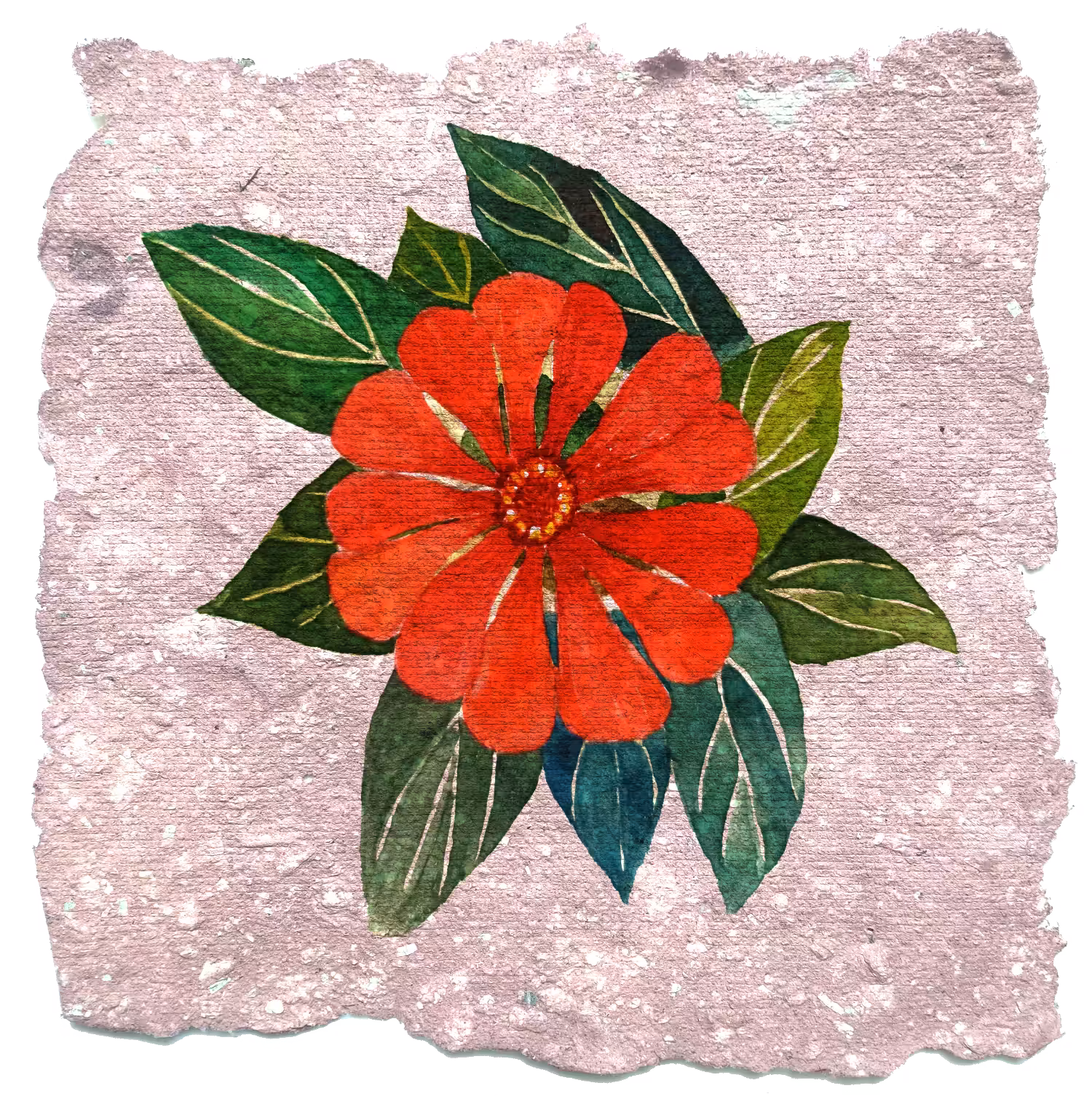 ZINNIA