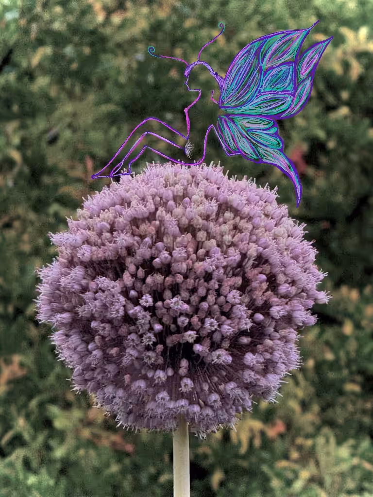 "Madame Butterfly"