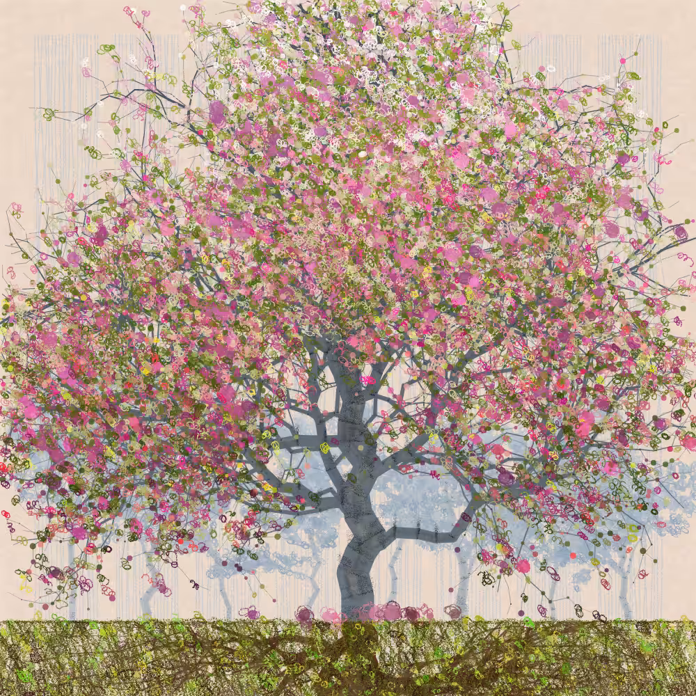 Orchard #204