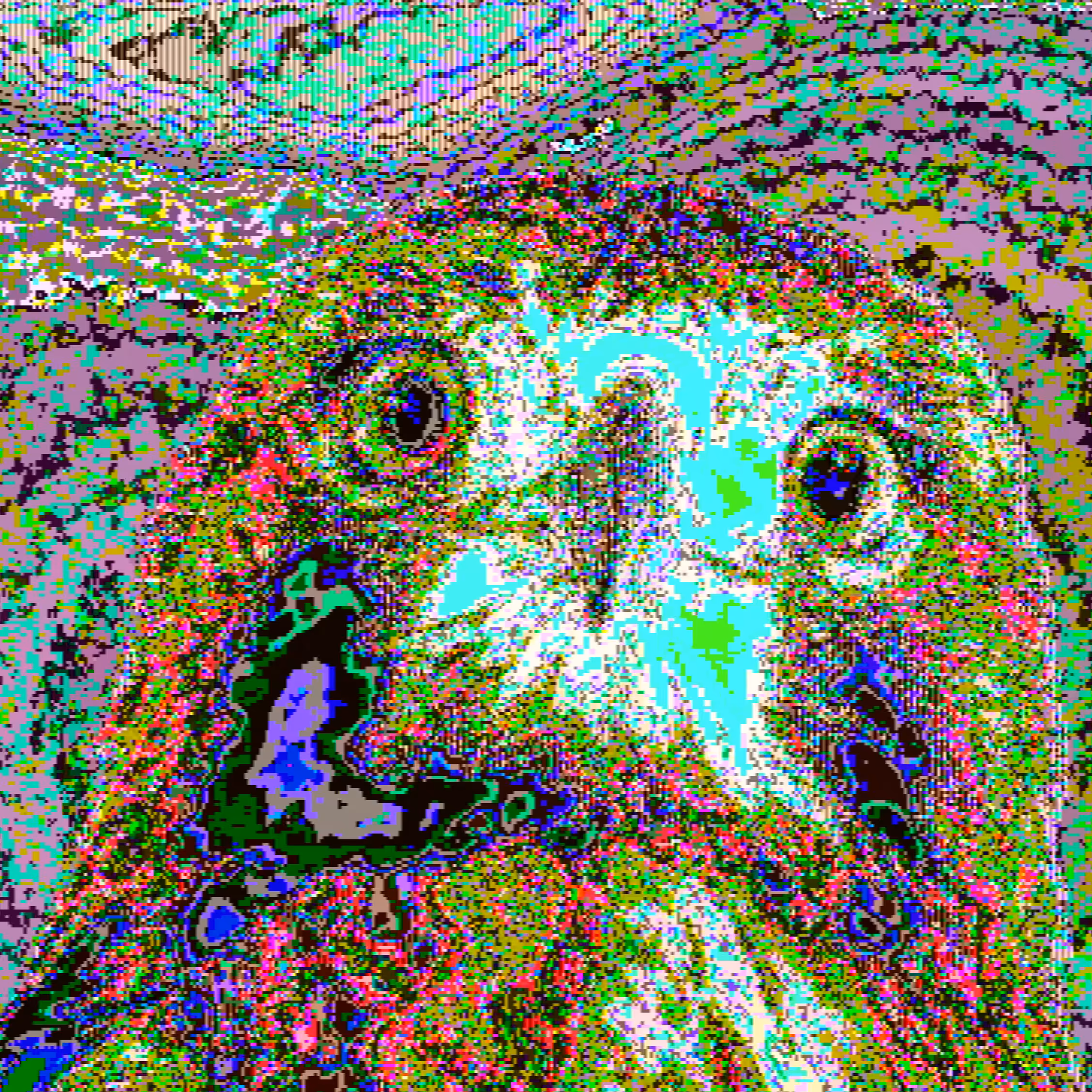 this is hawkward