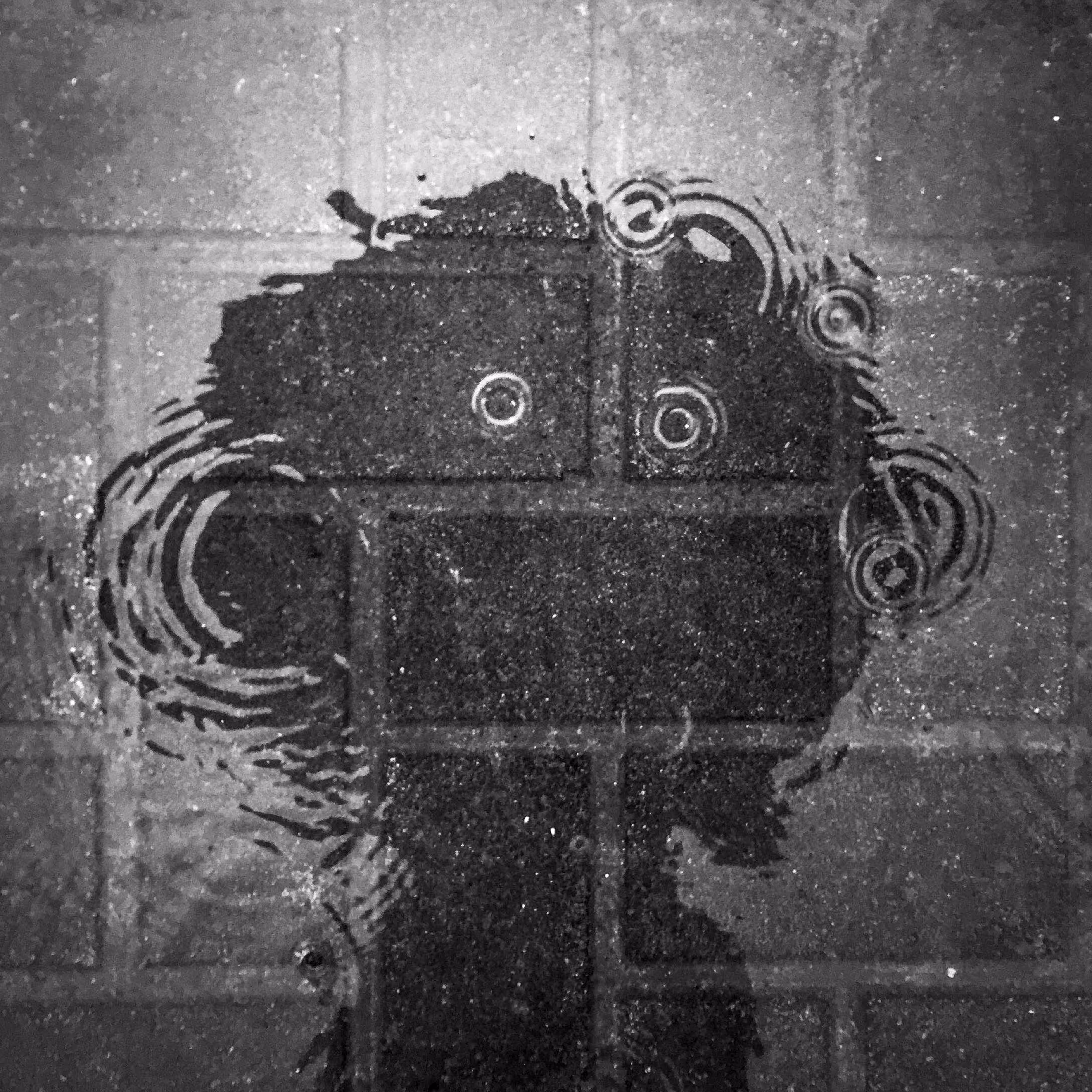 Eyes Without a Face