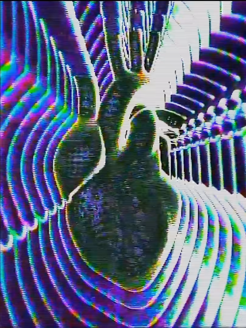 C O R E