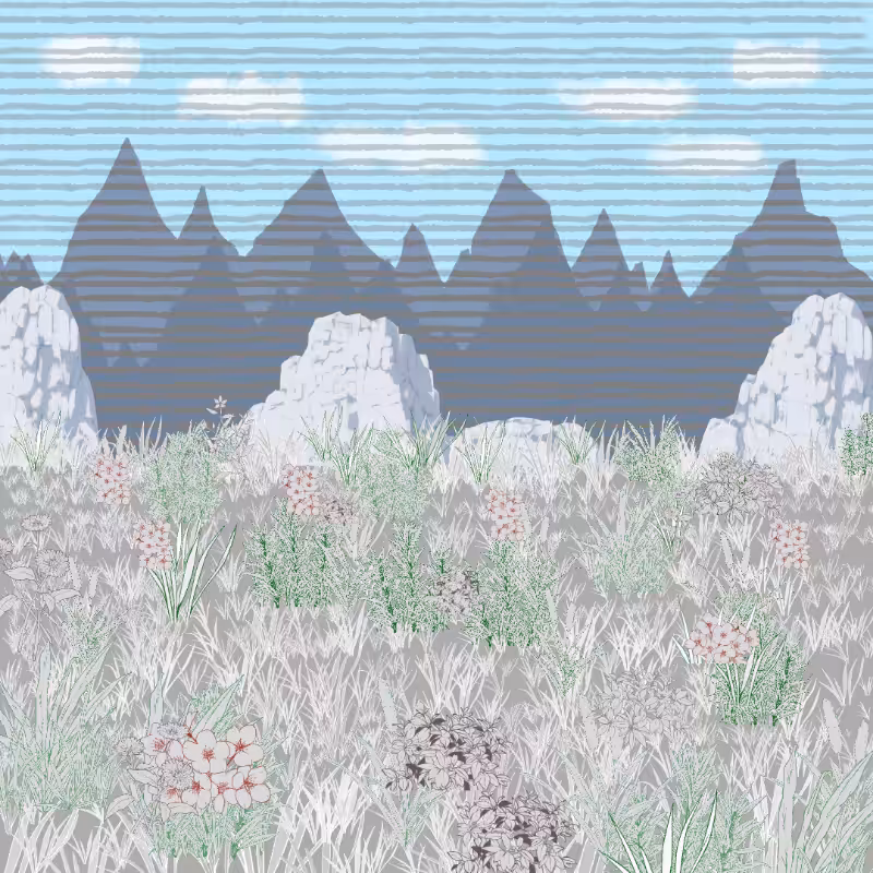 Mountain Meadows #5