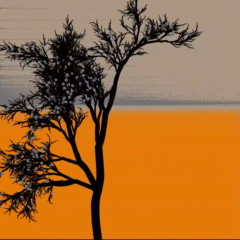 GPTree #39