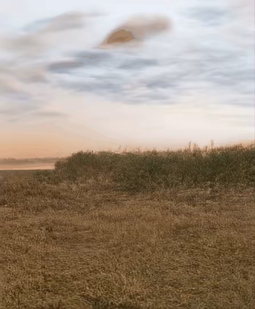 The walking of bodies on the changing climate