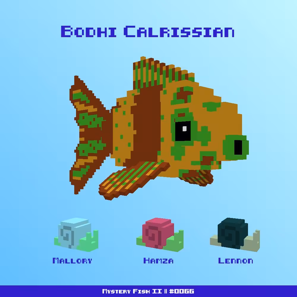 Bodhi Calrissian :: Mystery Fish 0066/1000