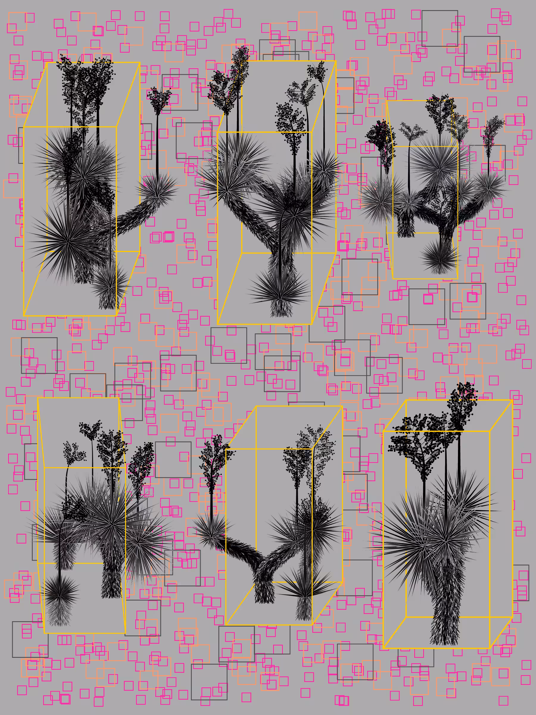 Marfa Yucca #356