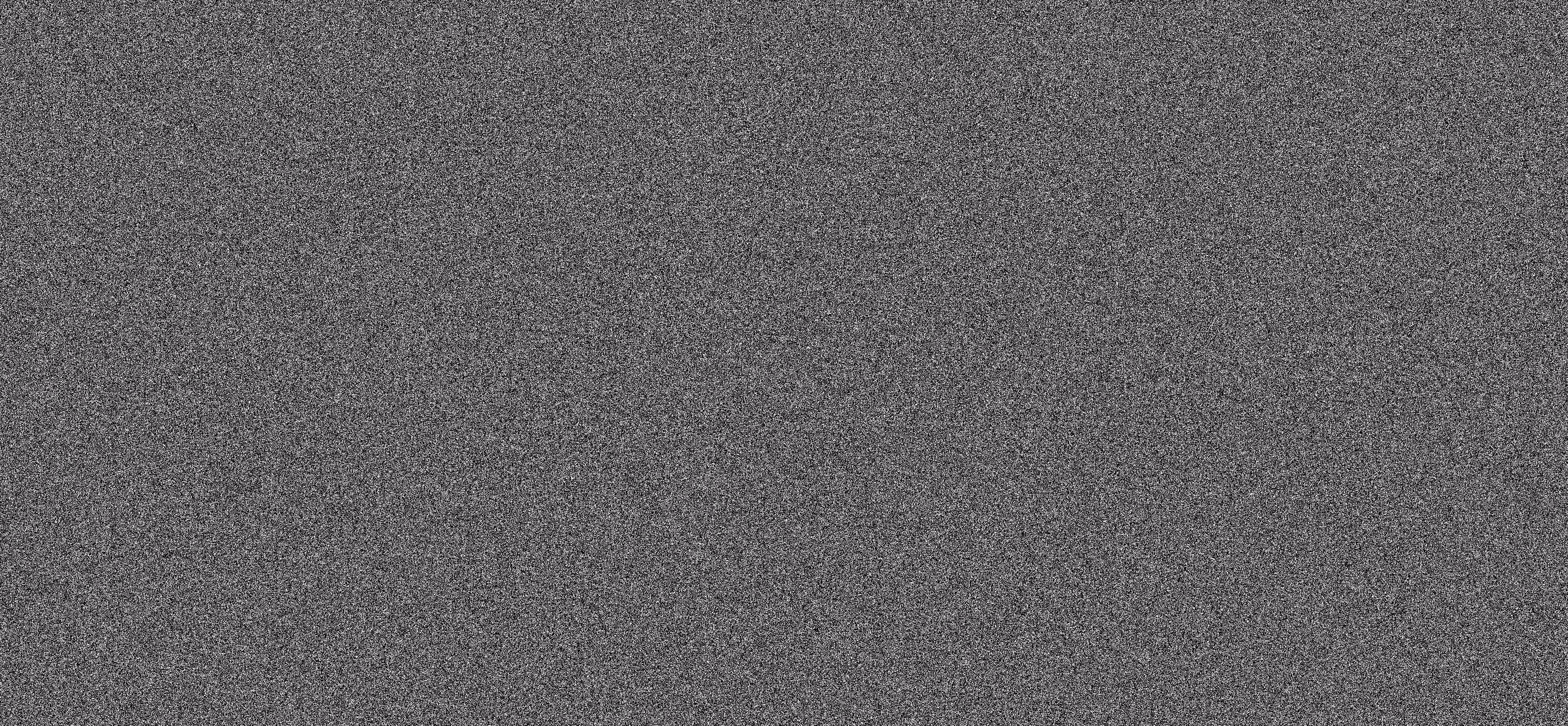 WE ARE NOISE