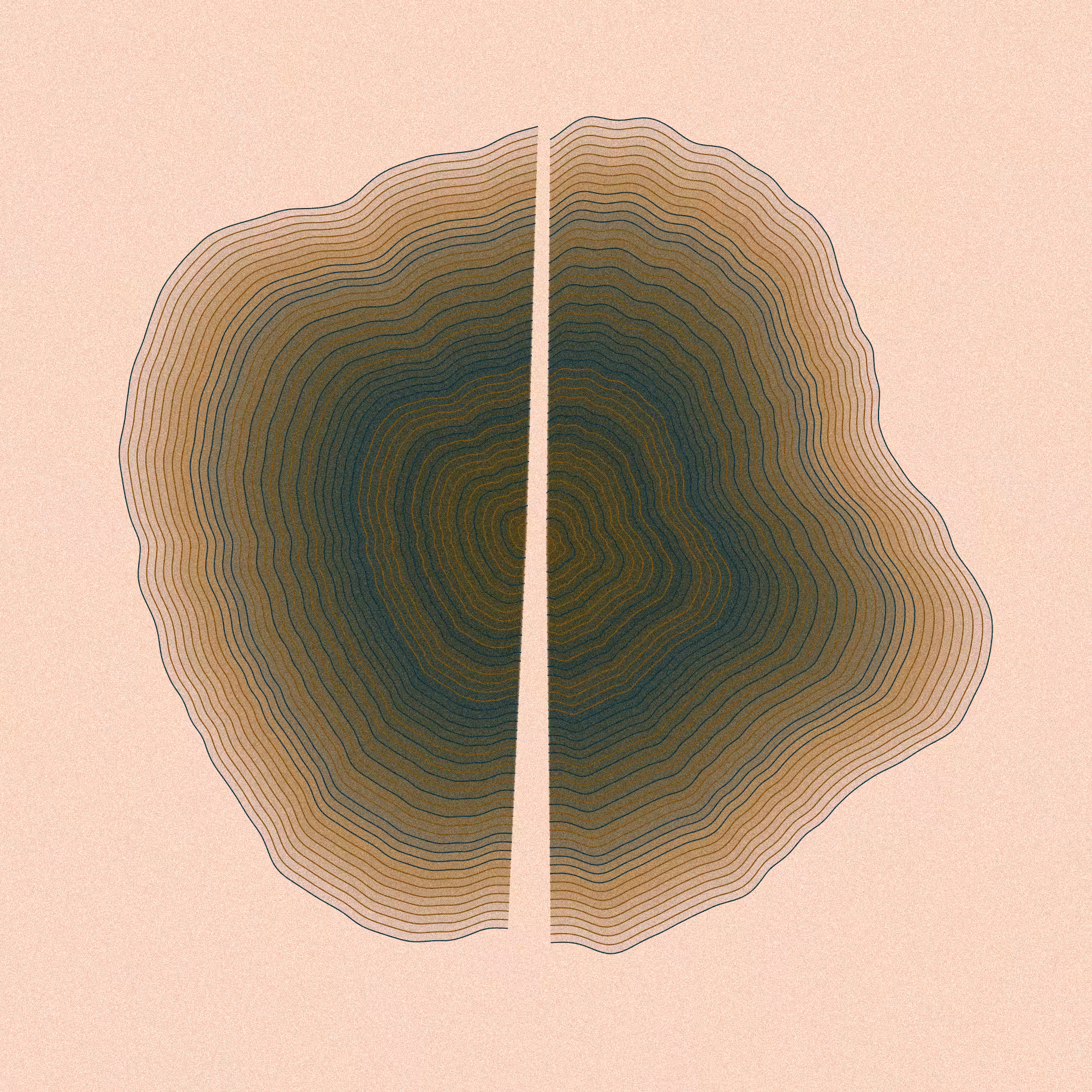 Hashed Onions #46