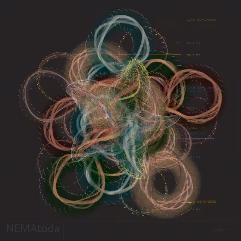NEMA #82